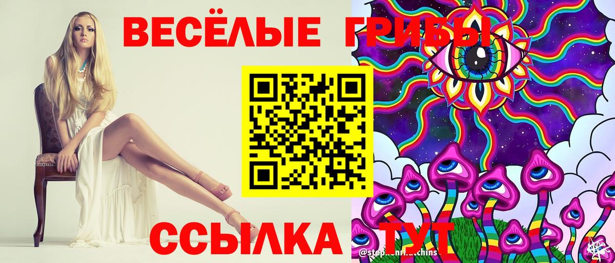 Еманжелинск  Галлюциногенные грибы прущие грибы  где продают наркотики  Вход с VPN 